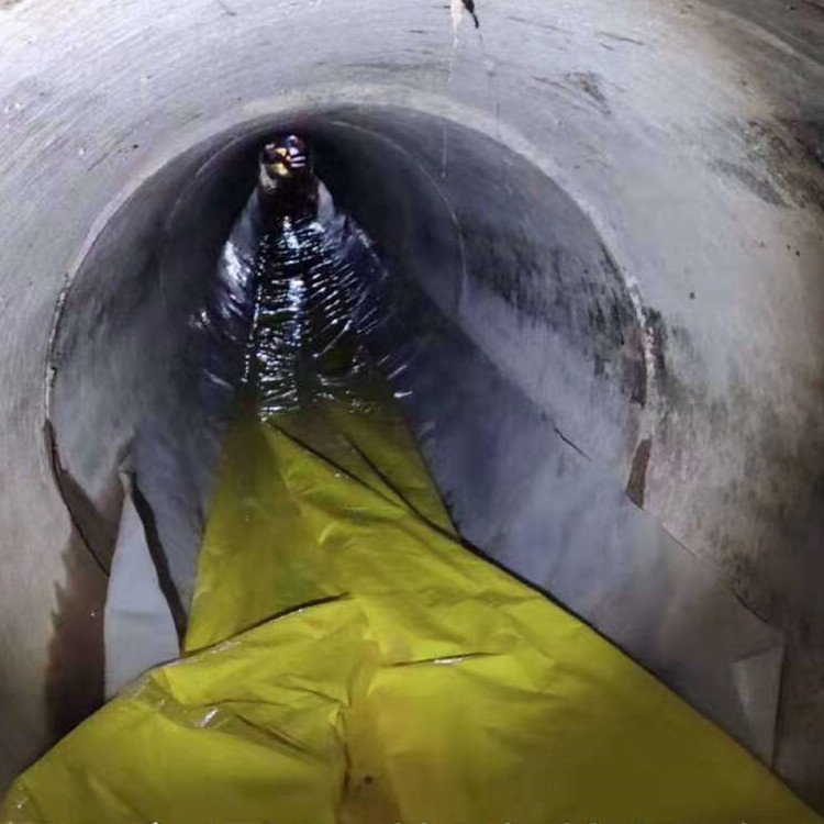 东兰管道光固化修复